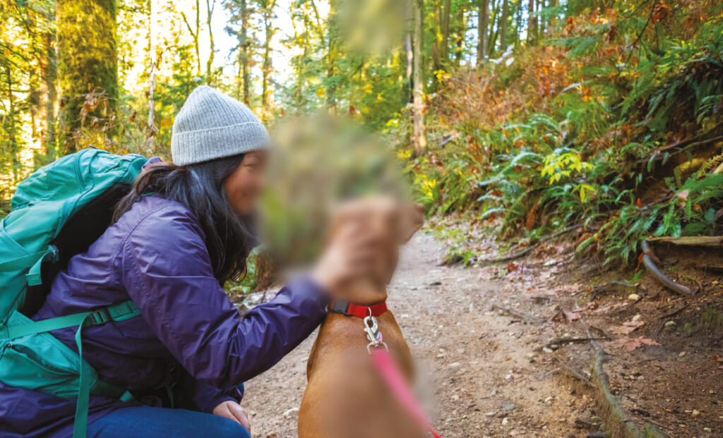 Eine Frau mit Wanderausrüstung, darunter ein Rucksack und eine Mütze, hockt im Wald und streichelt einen Hund. Teile des Bildes, einschließlich des Gesichts und der Umgebung, sind absichtlich verschwommen dargestellt