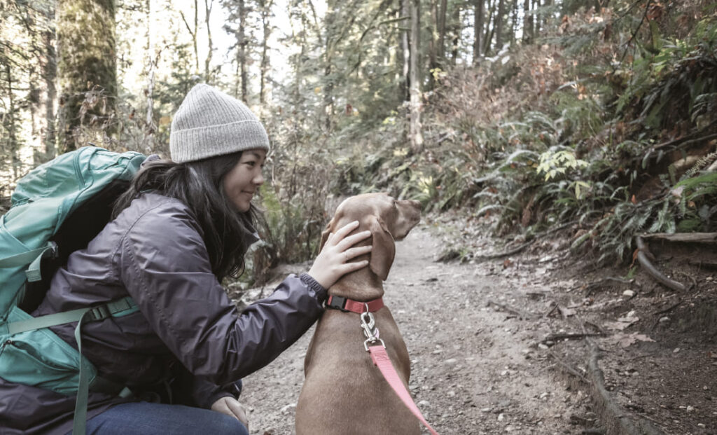 Eine Frau mit Wanderausrüstung, darunter ein Rucksack und eine Mütze, hockt im Wald und streichelt einen Hund. Das Bild ist in entsättigten, blassen Farben gehalten.